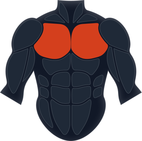 Chest Muscles